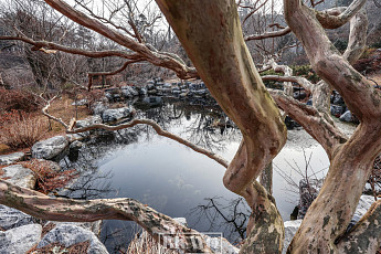 봄 오기 직전 한 톨 씨앗이 하는 일을 보라, 가히 우주적인 거사를…