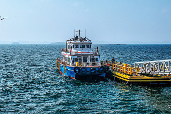 이토록 고요한 대숲의 평온, 죽도