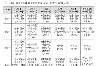 청년 부채, 다중재부·중기연체 집중⋯