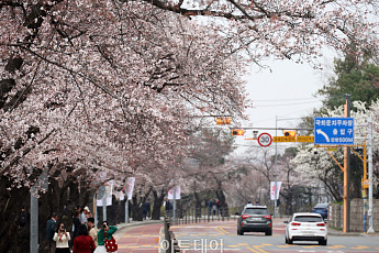 [내일 날씨] 전국 곳곳에 봄비…낮 최고 18도