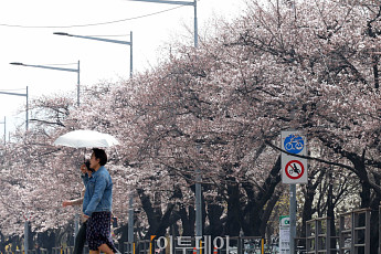 [내일 날씨] 전국 봄비 오전 중 그친다… 서울 한낮 20도 '포근'