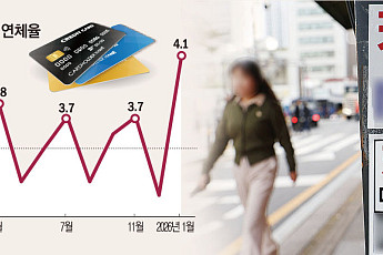서민 급전창구마저…신용카드 대출 연체율, 20년8개월來 '최고'