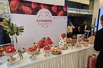 샤인머스캣 일변도 깬다…국산 딸기·포도·배·파프리카 18종으로 수출시장 다변화