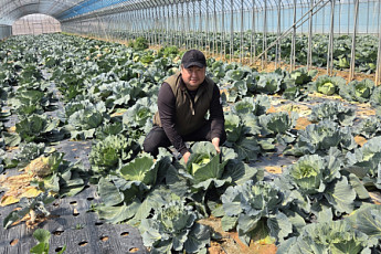 친환경농업직불금...전남도 6월 30일까지 신청