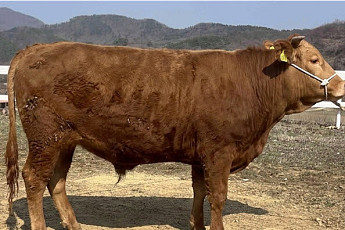 4년 연속 시수소 배출한 전북도