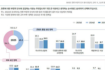K콘텐츠 인기 비례해 ‘소비자 피로감’ 상승…“과도한 상업성 지양, 차별화 경쟁력 높여야”