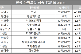 [아파트값 상승 톱10] 서울 강남구 ‘현대’ 등