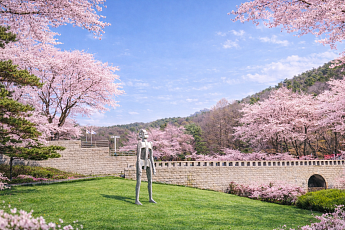 벚꽃과 전시 사이, 4월의 미술관