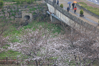 [내일날씨] 밤부터 전국 봄비…수도권 등 미세먼지 ‘나쁨’