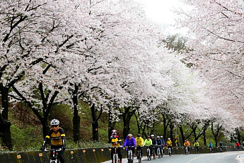 '남도여행' 숙박할인쿠폰...전남도 2만2000장 푼다