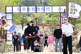 봄맞이 '반값 여행'...강진군 체류형 관광 선도