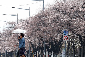 [내일날씨] 벚꽃 구경 가능할까…일요일 밤부터 일부 지역 비 소식