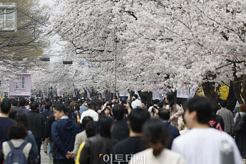 꽃길 걷다 전시 즐기고…은은한 조명 따라 낭만 산책