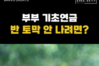 [숏] 부부가 같이 기초연금 받을 때, 주의사항 3가지