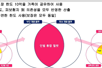 [단독] 흥국화재 ‘가족월렛’ 배타적사용권 자진 철회⋯ 왜?