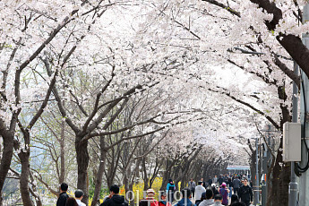 [내일 날씨] 낮 최고 기온 25도…제주 밤부터 비소식