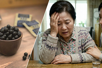 기억력 책임지는 해마, 한약으로 지킨다