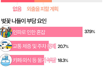 '혼잡·교통·돈' 걱정에…망설여지는 봄나들이 [데이터클립]