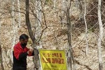 임산물 채취 등 봄철 산림 불법행위...전북도 특별단속
