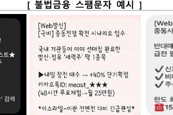 금감원, 불법금융 스팸 ‘AI로 차단’⋯탐지 속도·정밀도 높인다