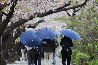 전국 봄비... 내일부터 맑음 [포토]