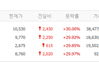 [급등락주 짚어보기] 광전자, 태영건설우, 부국철강 등 상한가