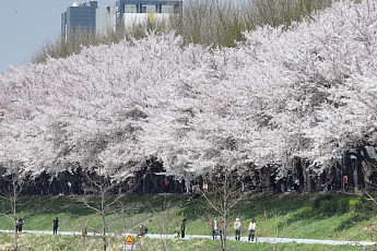 일교차 15도 '껑충'…나들이길 짙은 안개·황사 주의 [날씨]