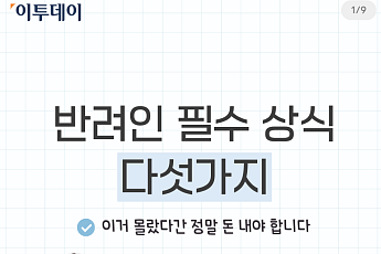 모르면 과태료...반려인 필수 상식 5가지 [카드뉴스]