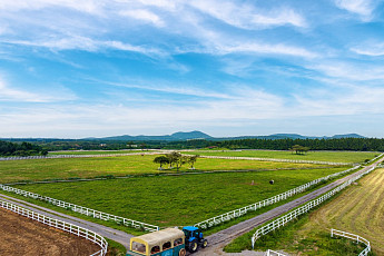 한라산 보며 초원 한 바퀴…제주목장 트랙터 마차 다시 달린다