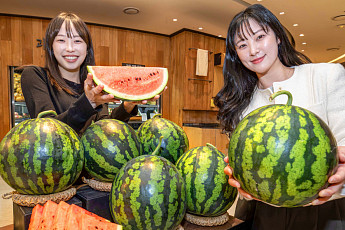 [포토] 현대그린푸드 “올해 첫 수확 ‘함안 수박’ 예약하세요”