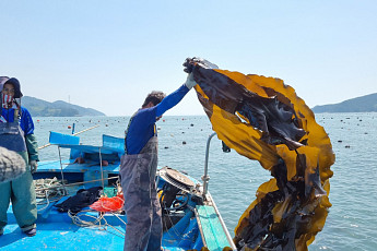 농심, 농촌·이웃과 나누는 ‘상생의 맛’ [CSR, 기업의 온기㉖]