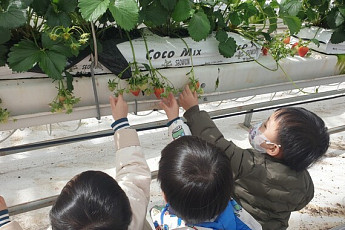 광양시 어린이 '흙에서 배우는 식사'...순천대학교서 체험