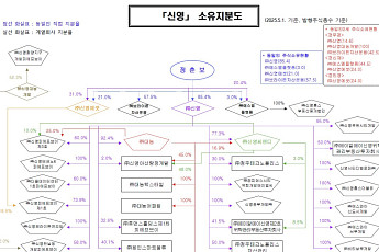 신영 2세 승계 지렛대 신영대농개발, 3년새 매출 4000억원대 디벨로퍼로 껑충…자본잠식도 해소