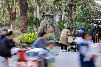 5월 제주 4인 가족 유류할증료만 28만원⋯차라리 배 탈까 [이슈크래커]