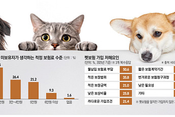 “20년 만기라더니 매년 재가입 부담”⋯ 펫보험, ‘평생 안심’은 아직 멀다 [펫보험의 역설]