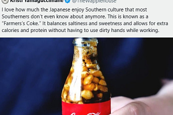 땅콩콜라ㆍ초코두부…올 봄, 일본 달군 이색 먹거리