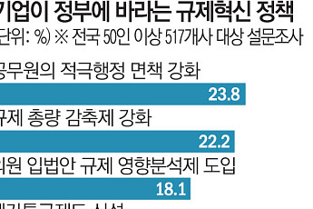 “규제 풀라보다 행정부터 바꿔라”…기업들, ‘면책ㆍ정부투자’ 요구로 이동 [예측 막힌 기업]