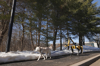 목줄 잡고 개 산책시키는 ‘로봇개’…보스턴다이나믹스 ‘스팟’, 제미나이 탑재