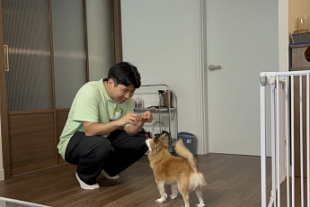성동구, ‘찾아가는 반려견‧반려묘 홈클래스’ 운영…문제행동 교정 돕는다