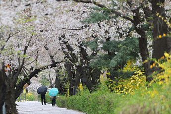 [내일 날씨] 전국 흐리고 남부·제주 비⋯더위 꺾여