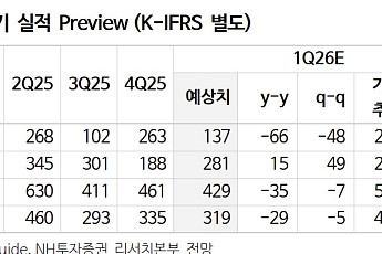 NH “DB손해보험, 배당 매력에도 1분기 부진…목표가↓”