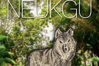 푸바오, 무뎅, 펀치, 늑구…동물원 스타가 탄생하는 이유 [이슈크래커]