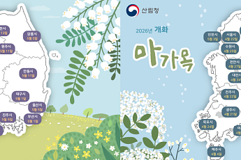 벚꽃 이어 아까시·마가목도 빨리 핀다…기후변화에 바뀌는 봄꽃 지도