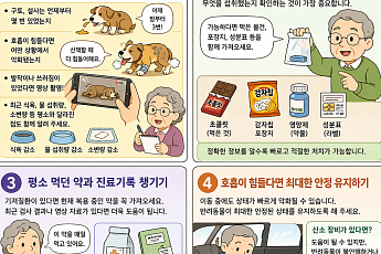 [만화로 보는 시니어 뉴스] 반려동물 살리는 ‘준비’