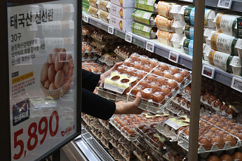 계란값 7월까지 강세…할인·수입란으로 버티는 정부