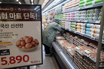 계란 한 판 7500원대 고공행진…정부, 미국·태국산 2112만개 더 푼다