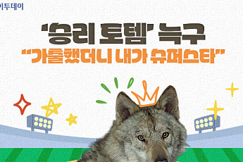 '승리 토템' 늑구…