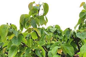 중동발 생산비 압박에 이상기온까지…농업계 덮친 ‘이중고’