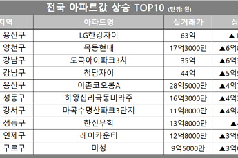 [아파트값 상승 톱10] 서울 강남구 ‘청담자이’ 등