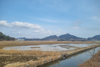 금호석유화학그룹, 2028년까지 여수 철새 서식지 복원 나선다